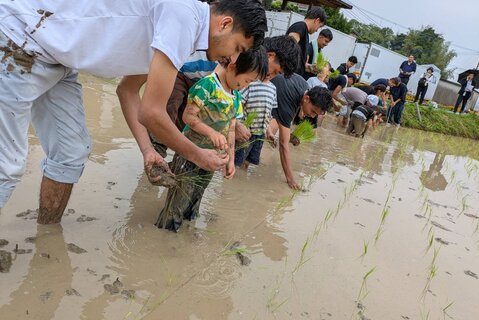 田植え体験14