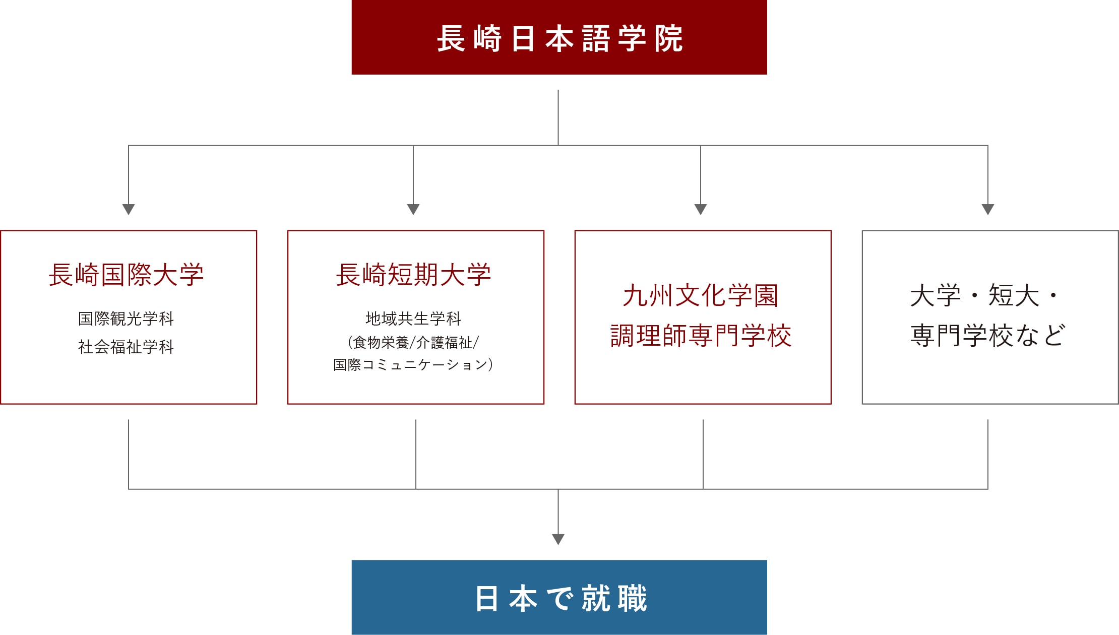 卒業後の主な進路